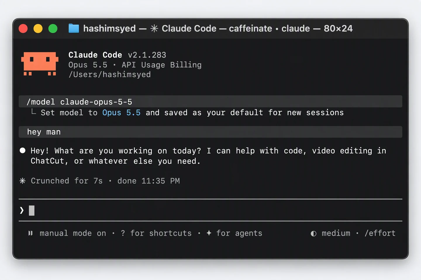 A Claude Code chat answered by Opus 5.5 through Straitly
